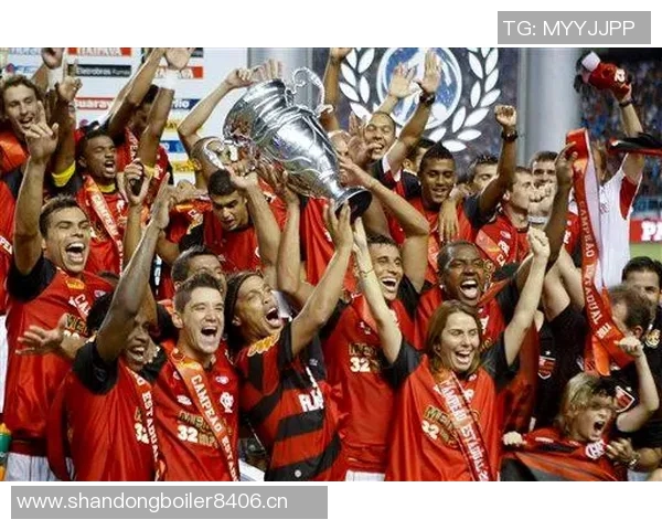 弗拉门戈球迷欢庆夺冠喜悦中奖杯疑似受损引发关注